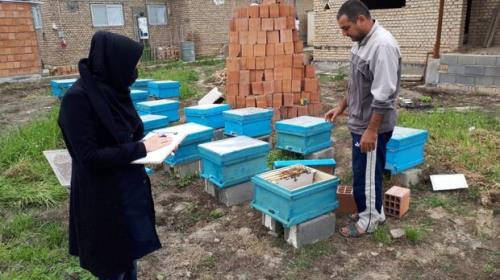 فعالیت بنیاد برکت در ۱۹ شهرستان و ۲۱۱ روستای استان گلستان