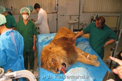 رسولی: لایحه ای مغایر باقوانین موجود تصویب كرده ایم