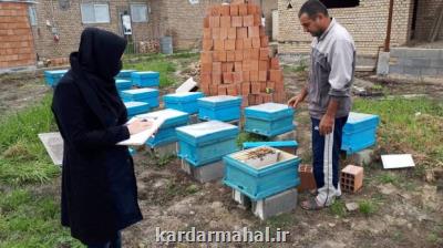 فعالیت بنیاد برکت در ۱۹ شهرستان و ۲۱۱ روستای استان گلستان