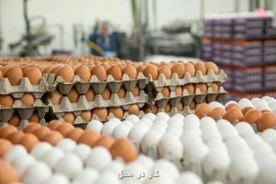 کاهش قیمت هر شانه تخم مرغ در میادین میوه و تره بار