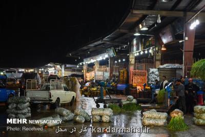 قیمت جوجه آخر پاییز در میادین میوه و تره بار