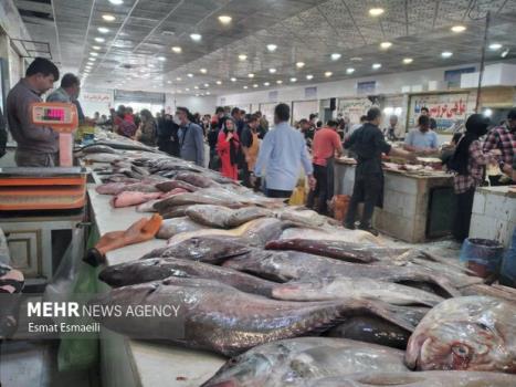 قیمت ۱۱۰ نوع ماهی و آبزیان اعلام شد بعلاوه نرخنامه