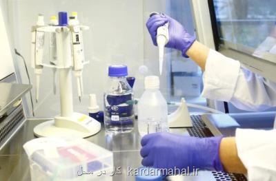 ایجاد اشتغال برای 200 نفر از جانب یک شرکت دانش بنیان