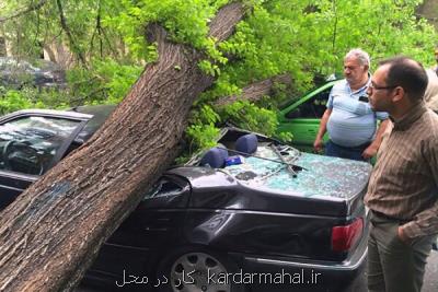 پرداخت ۱۱ میلیاردریال خسارت به شهروندان منطقه ۸