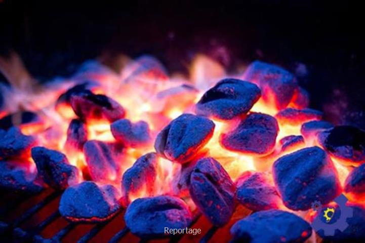 مهمترین پیش نیازها و سرمایه لازم برای تولید زغال باکیفیت