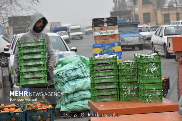انتقال روزانه ۵۰۰ تن پسماند از میادین تره بار به سایت تفکیک