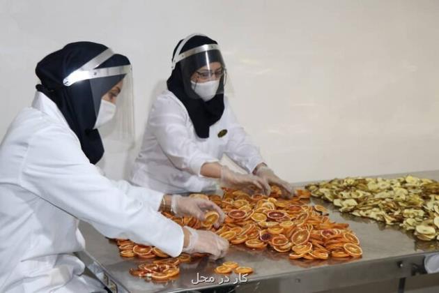 سفارش به فارغ التحصیلان جهت راه اندازی کسب وکار