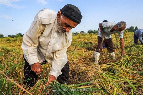 3 و نیم میلیون روستایی زیر پوشش بیمه شده اند
