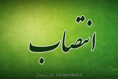 انتصاب معاون بیمه خدمات سلامت