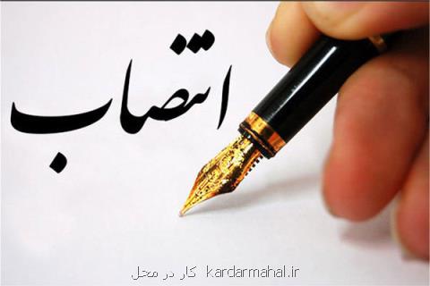 سكینه اشرفی معاون برنامه ریزی شهرداری تهران شد