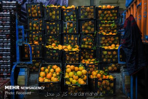 اجرای استاندارد مدیریت ایمنی موادغذایی در میادین میوه و تره بار