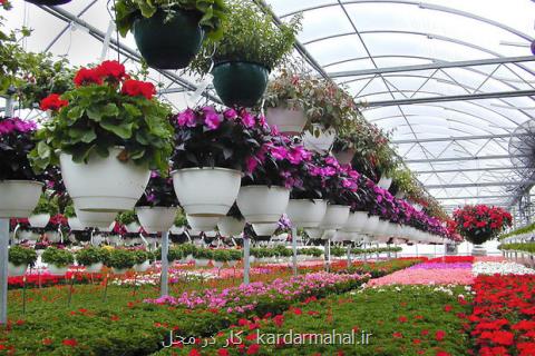 برگزاری نمایشگاه بین المللی گل و گیاه از ۸ اردیبهشت در تهران