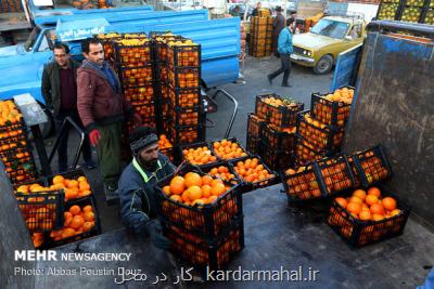 میادین میوه و تره بار در عید قربان فعالیت می نمایند