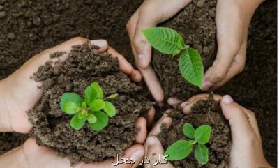 آغاز پویش نهال به جای سبزه عید