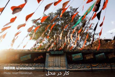 ابلاغ برنامه های شهرداری تهران برای محرم