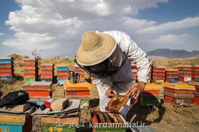 برگزاری دوره های آموزش كسب وكار برای 145 هزار مددجو